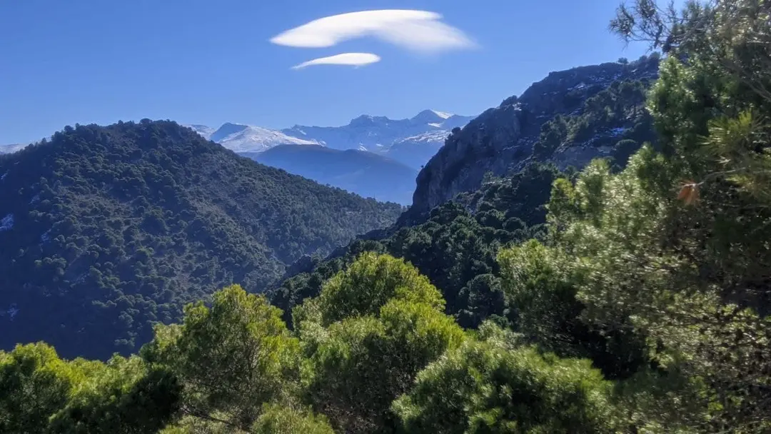 Suviard (Granada)