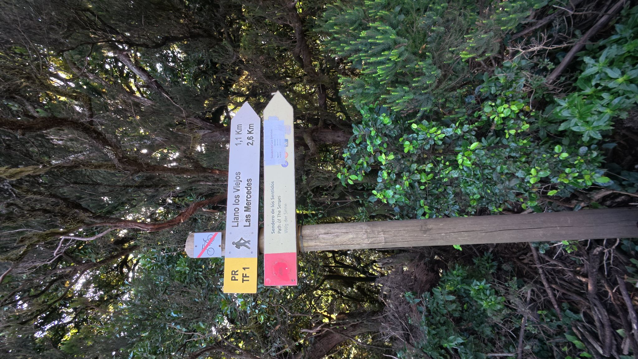 Ruta de los sentidos (Anaga)
