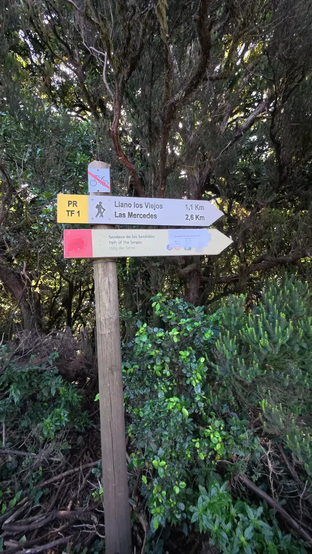 Ruta de los sentidos (Anaga) — imagen de la ruta