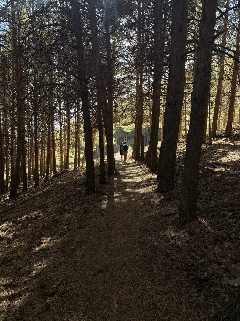 FUENTEALTA — imagen de la ruta