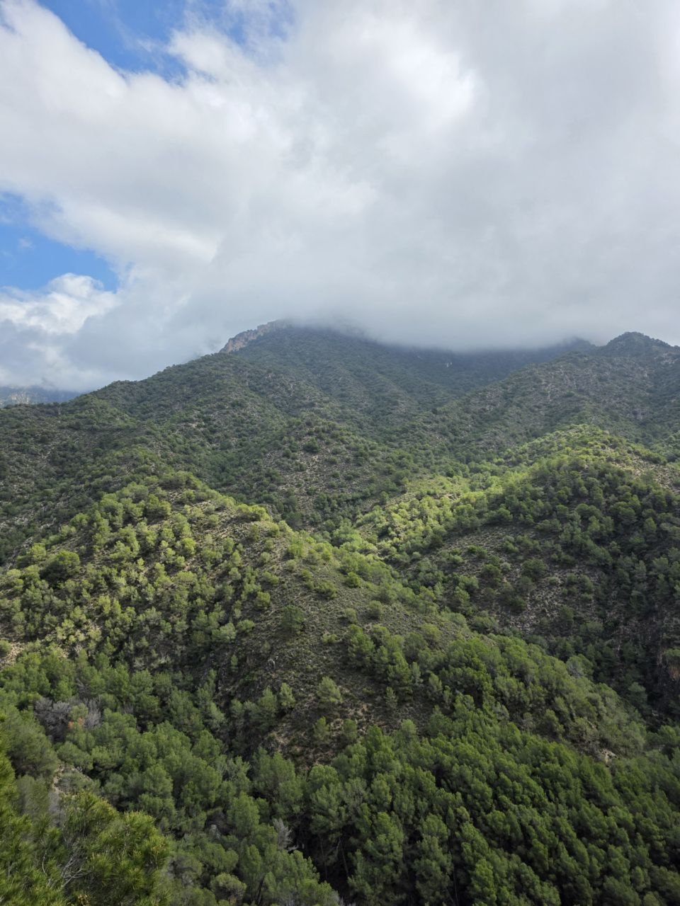 Frigiliana ruta de la acequia Lízar