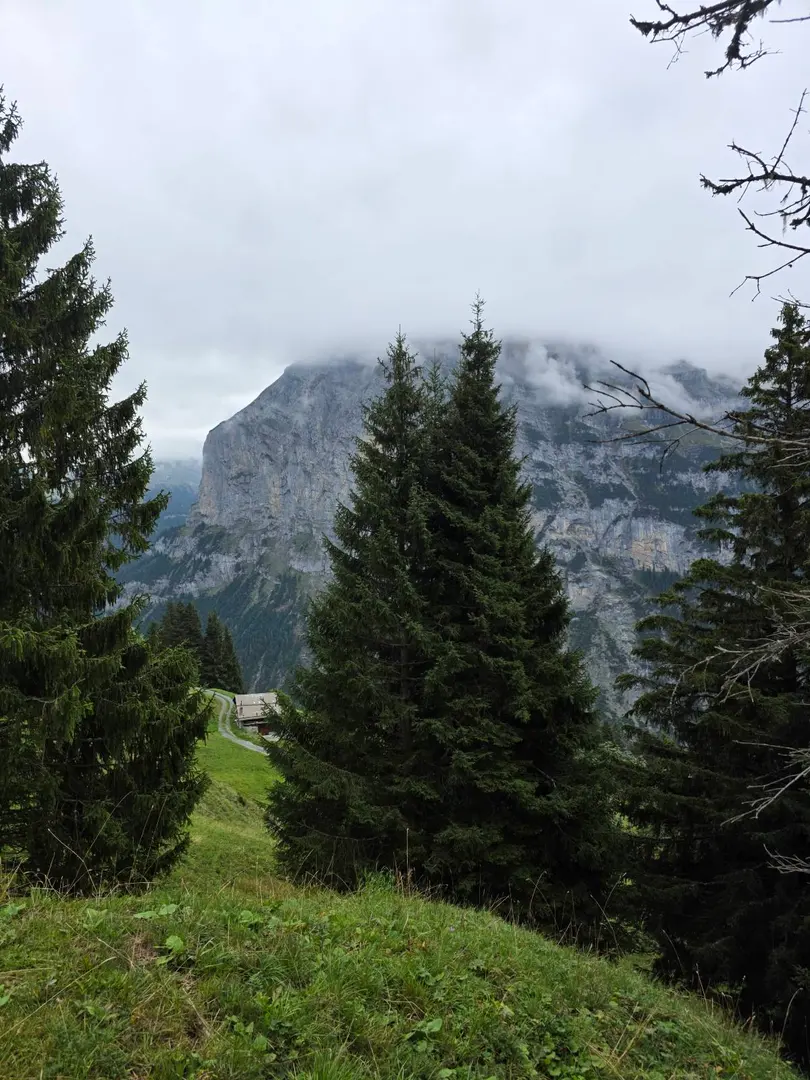 Murren - North Face Trail — imagen de la ruta
