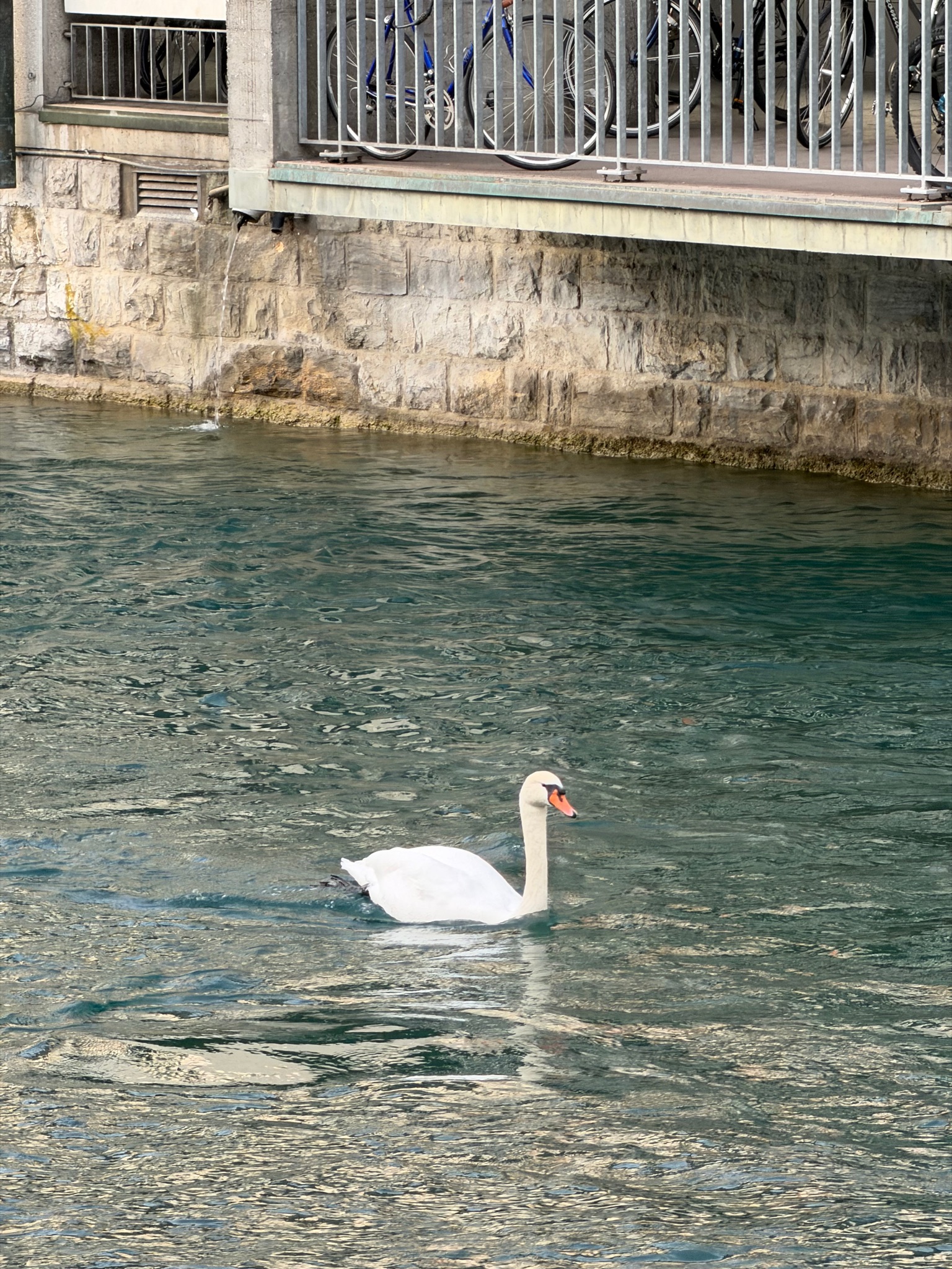 Thun