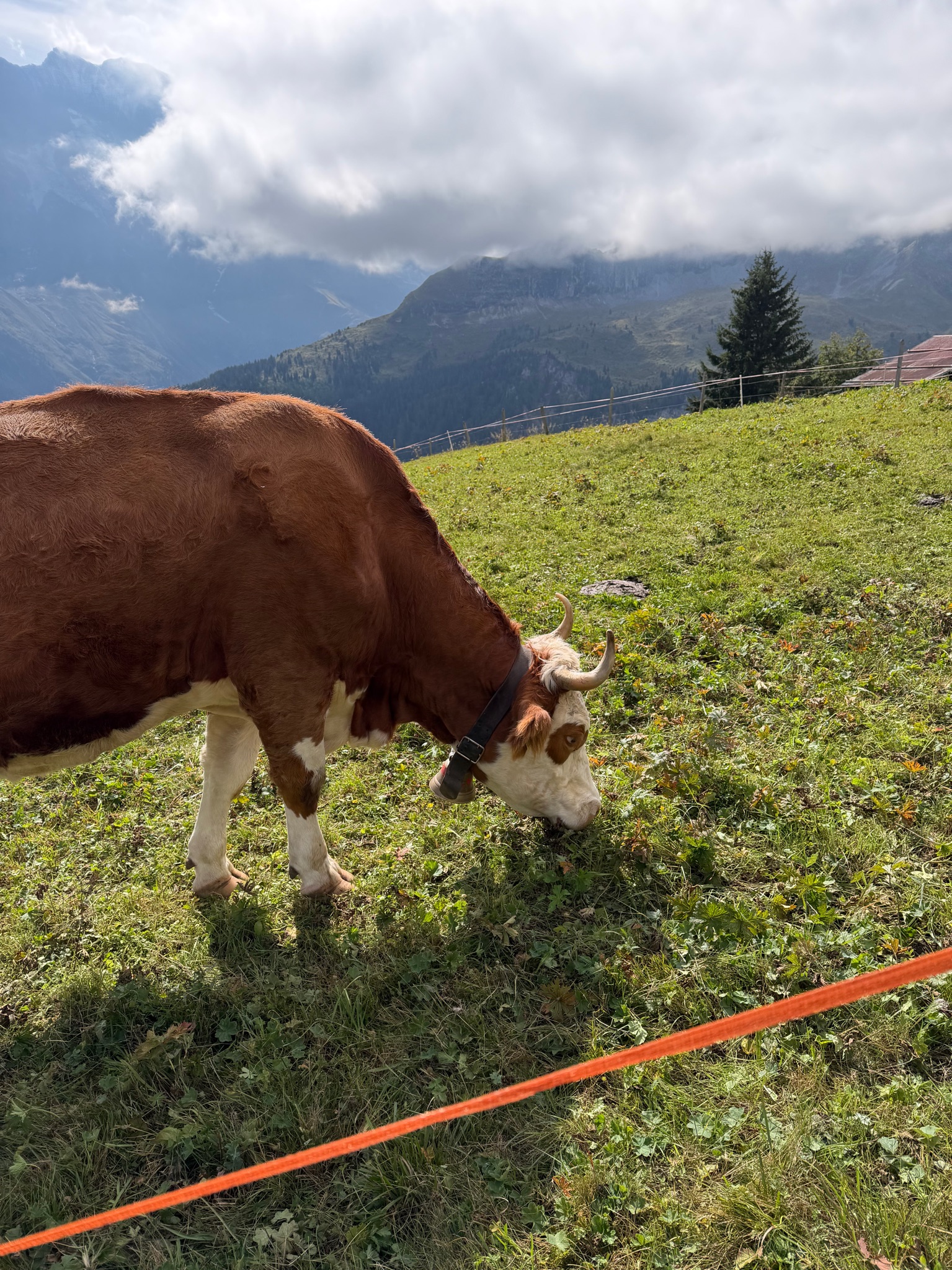 Mürren