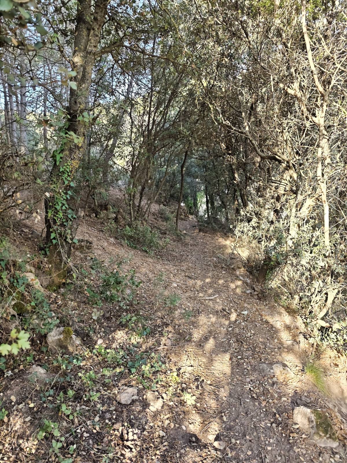 Ruta La Peza, Espique, Fuente vilchez