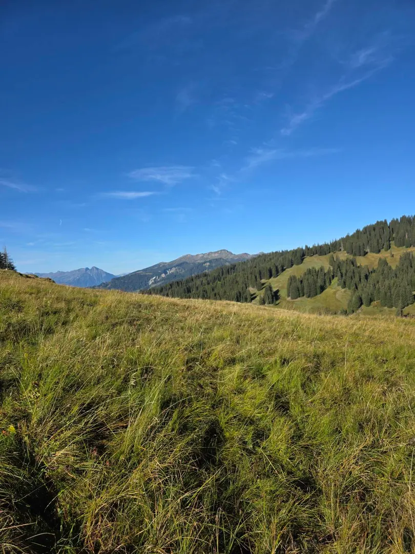 Lombach - Augstmatthorn — imagen de la ruta