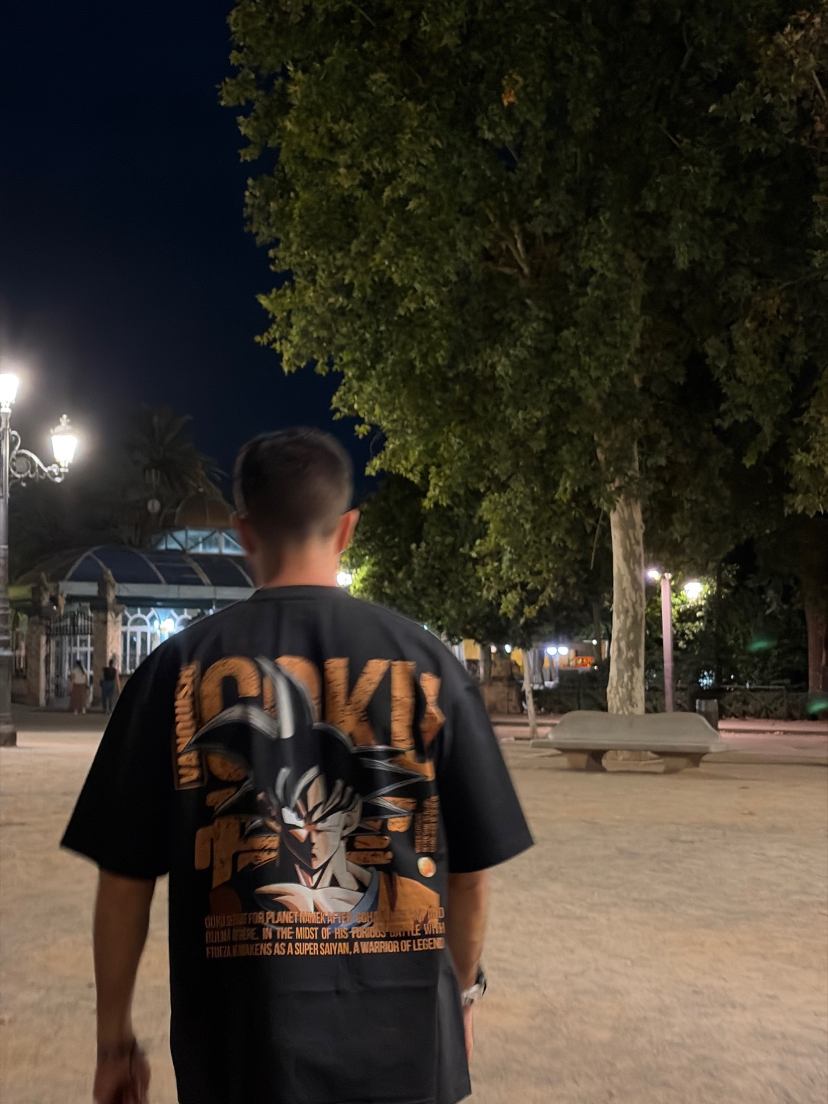 Paseo nocturno por Granada centro ⭐️