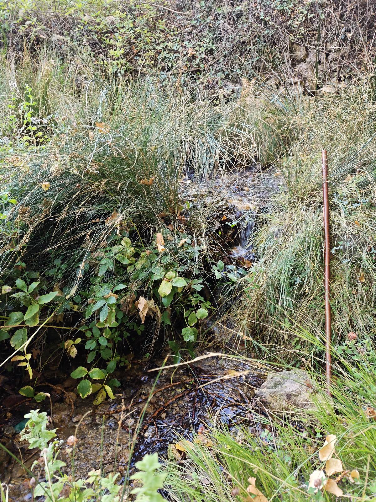 Ruta La Peza, Espique, Fuente vilchez