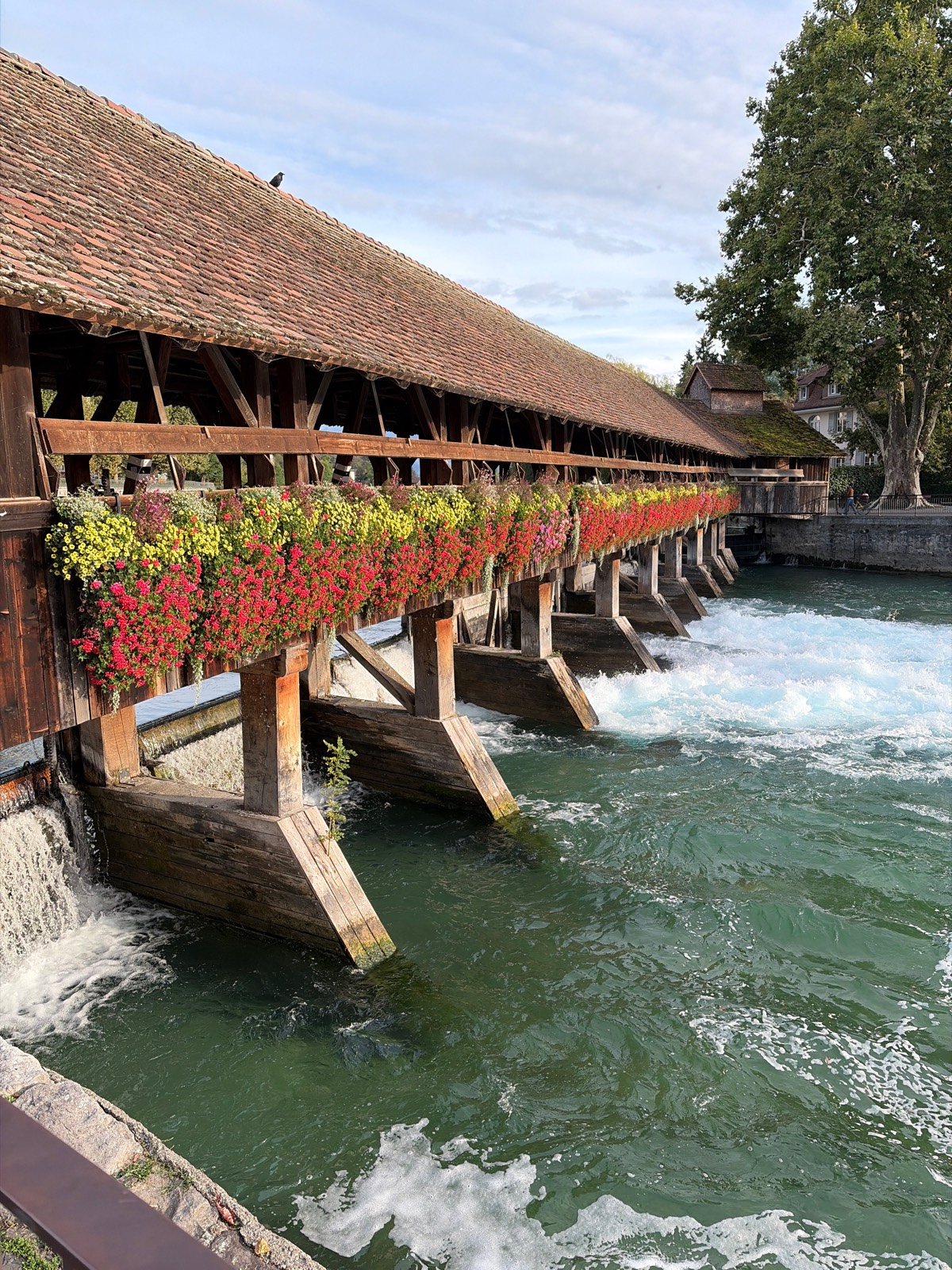 Paseo por Thun 🇨🇭