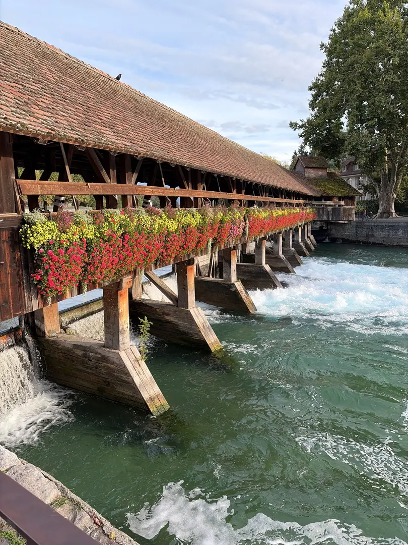 Paseo por Thun 🇨🇭 — imagen de la ruta