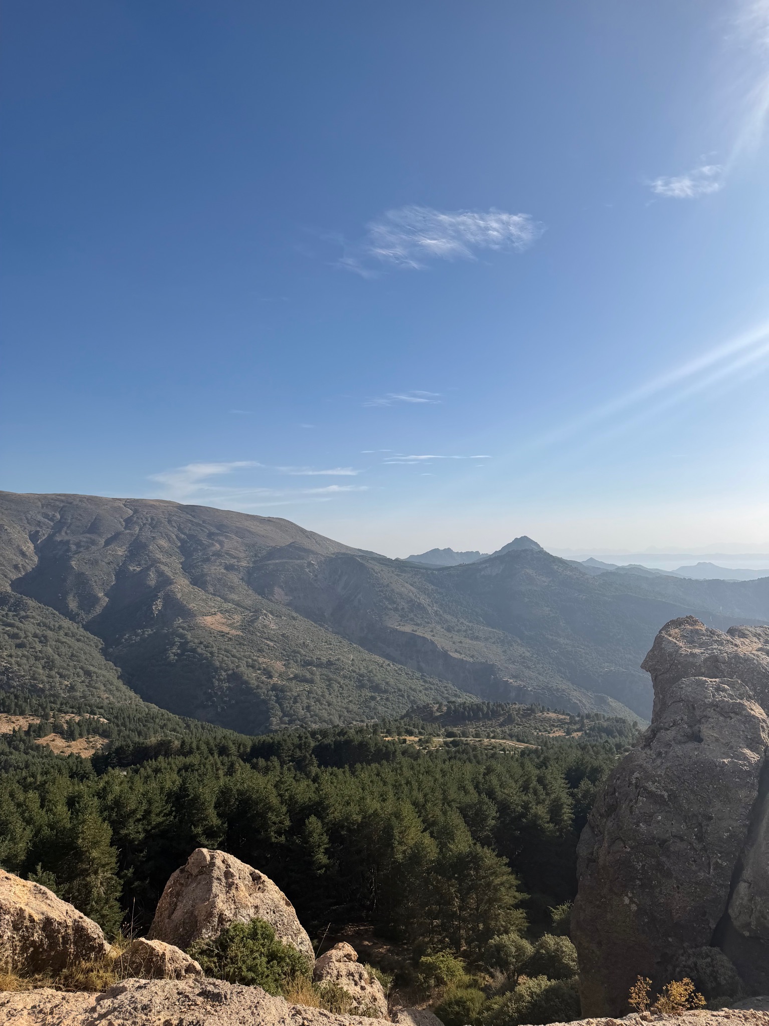 FUENTEALTA