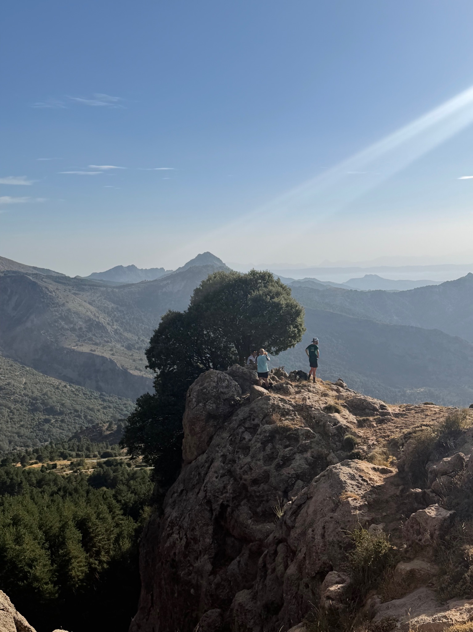 FUENTEALTA