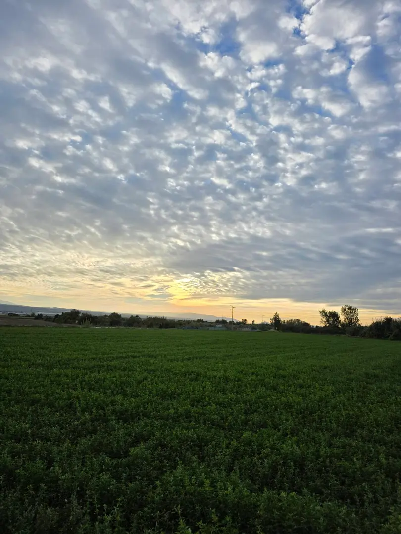 Running Maracena - Albolote — imagen de la ruta